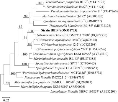 Gilvimarinus xylanilyticus sp. nov., a novel 1,3-xylanase-secreting bacterium isolated from a marine green alga